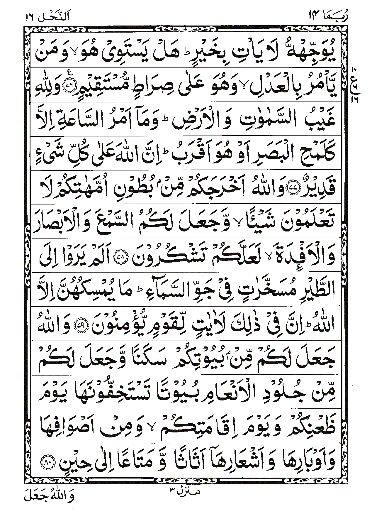 Surah An-Nahl Page 13